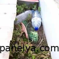 Limpieza y reparación de canales en Murcia